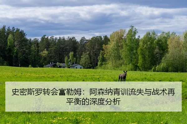 shi-mi-si-luo-zhuan-hui-fu-lei-mu-a-sen-na-qing-xun-liu-shi-yu-zhan-shu-zai-ping-heng-de-shen-du-fen-xi-2-174.jpg